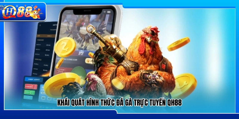 Giới thiệu hình thức đá gà QH88 trực tuyến 